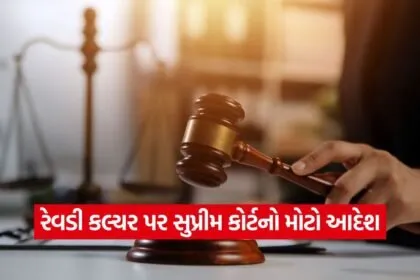 dharmishtha 1 13