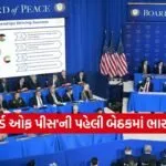 Board of Peace 2002