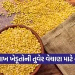 Gujarat Toor Dal MSP Procurement 2026 1