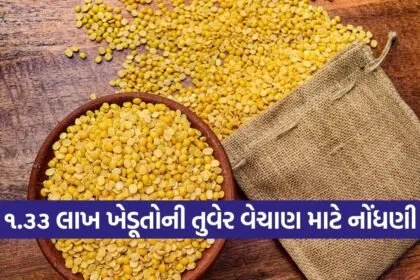 Gujarat Toor Dal MSP Procurement 2026 1