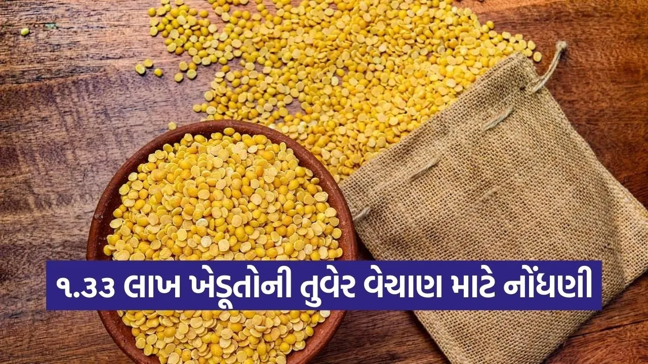 Gujarat Toor Dal MSP Procurement 2026 1.jpg