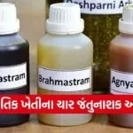 Natural Farming Pest Control Weapons Gujarat