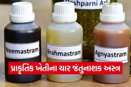 Natural Farming Pest Control Weapons Gujarat