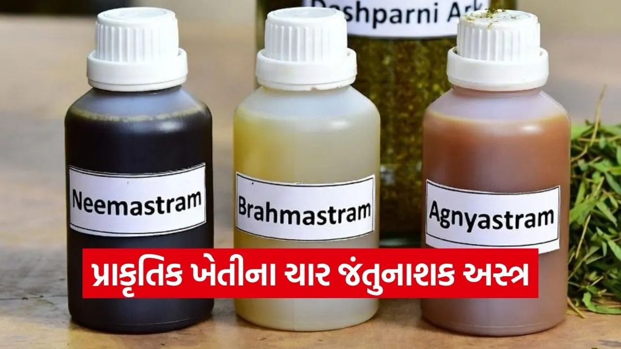 Natural Farming Pest Control Weapons Gujarat.jpg