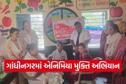 Gandhinagar World Anemia Awareness Day 2026 1