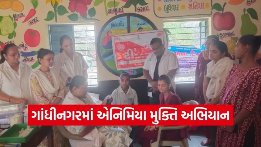 Gandhinagar World Anemia Awareness Day 2026 1