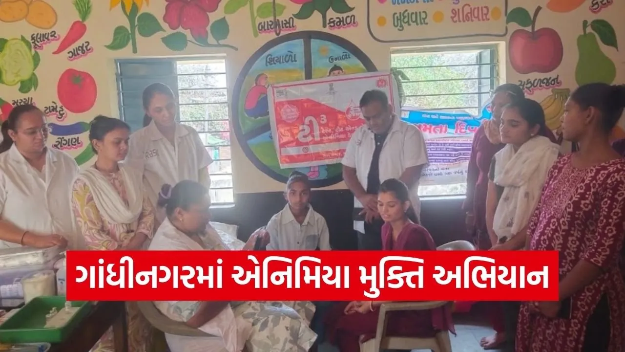 Gandhinagar World Anemia Awareness Day 2026 1.jpg