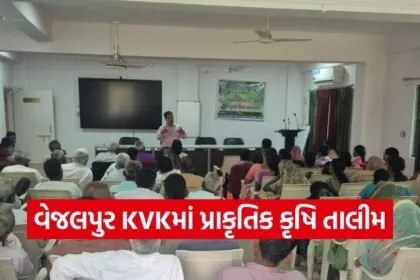 Kalol Natural Farming Training KVK Vejalpur