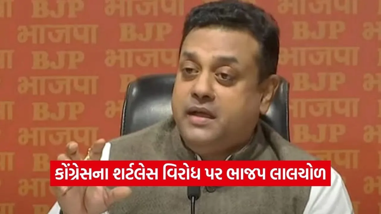 bjp0.jpg