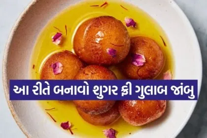 Sugar Free Gulab Jamun