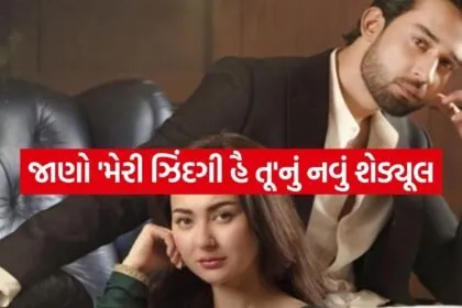 Meri Zindagi Hai Tu
