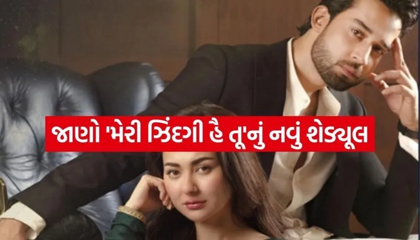 Meri Zindagi Hai Tu