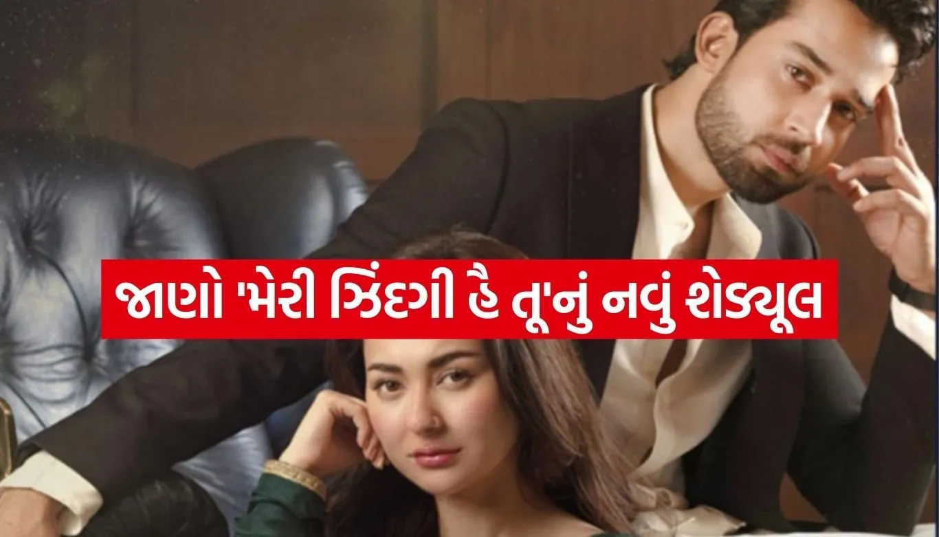 Meri Zindagi Hai Tu