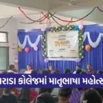 Matrubhasha Mahotsav Kaparada