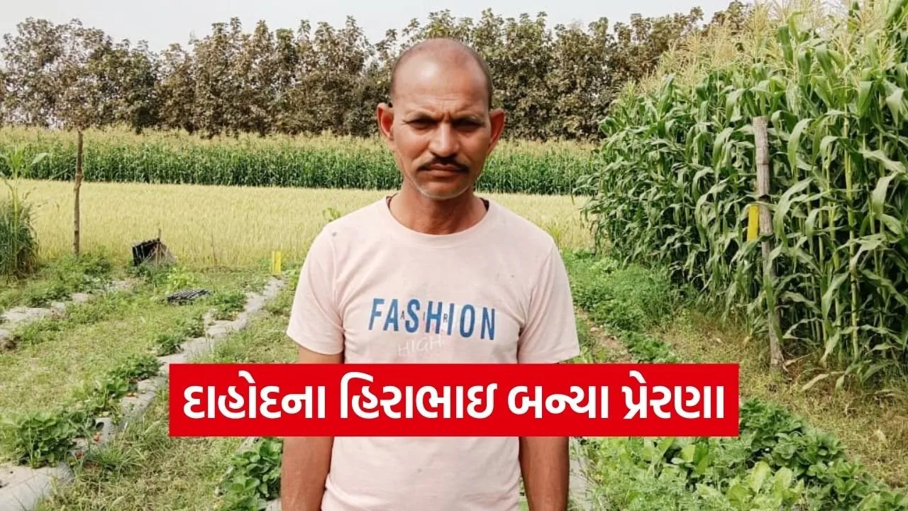 Natural Farming Success Story Dahod 1.jpg