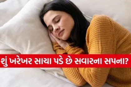 Morning Dreams Meaning