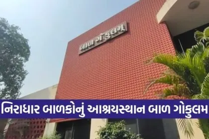 Vadodara Bal Gokulam Child Care Excellence 1