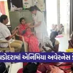 Vadodara World Anemia Awareness Day