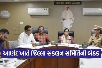 Anand District Coordination Committee Meeting 1