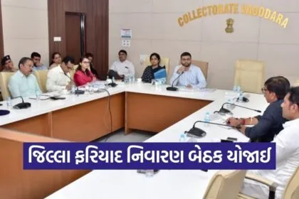 District Grievance Redressal Coordination Meeting Vadodara 1