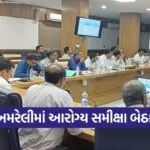 Amreli Health Review Meeting 2026