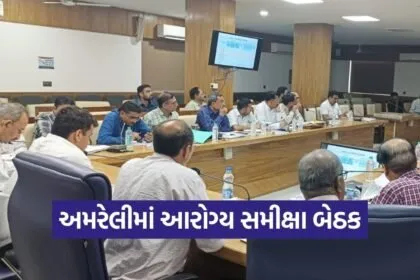 Amreli Health Review Meeting 2026