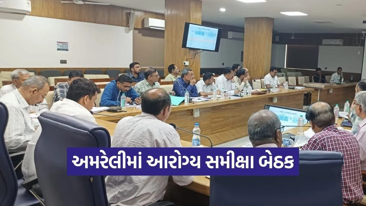 Amreli Health Review Meeting 2026.jpg