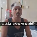 valsad-khadkibhagda-crime-youth-attacked-with-stumps