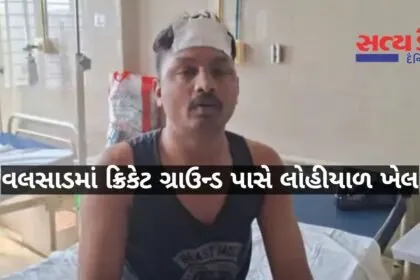 valsad-khadkibhagda-crime-youth-attacked-with-stumps