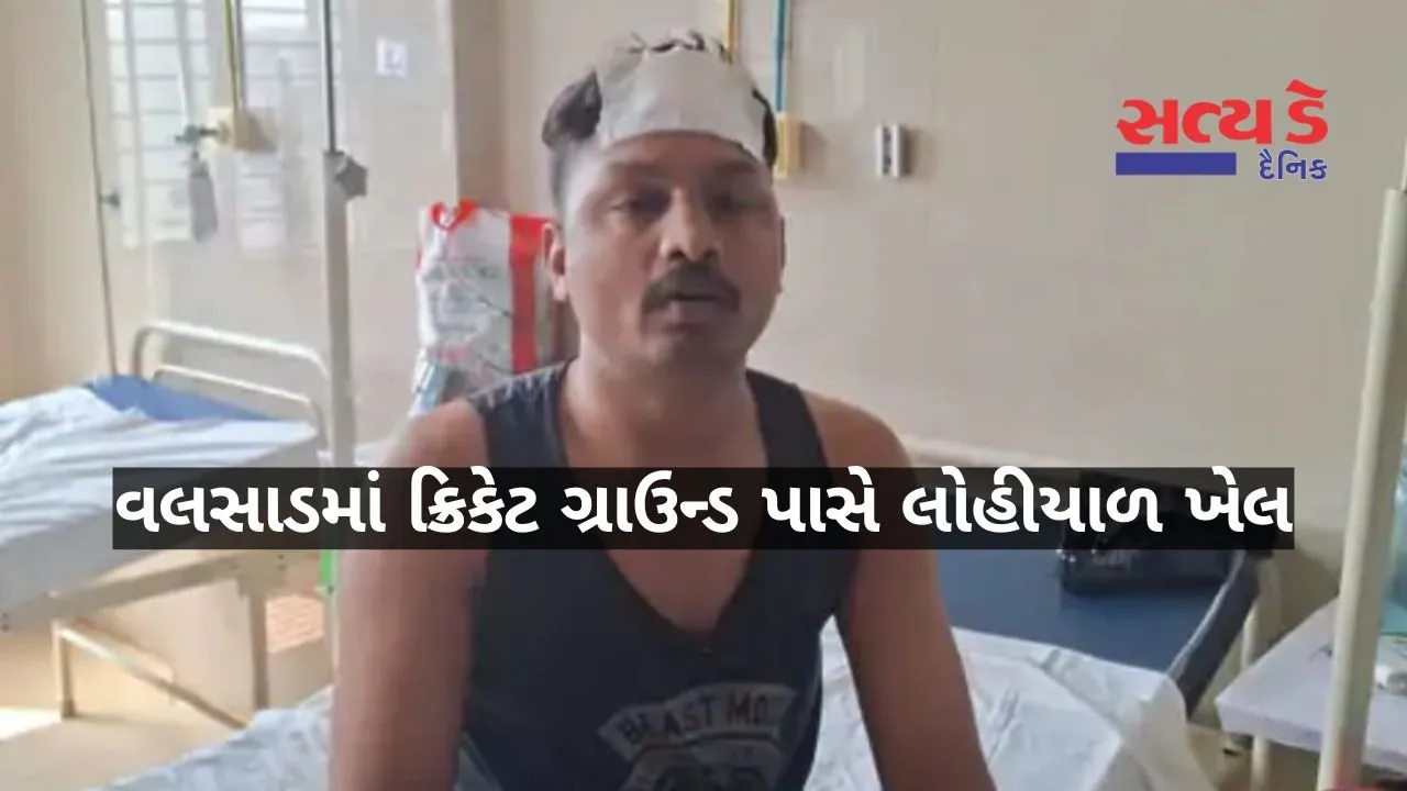valsad-khadkibhagda-crime-youth-attacked-with-stumps