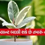 Auspicious Plants
