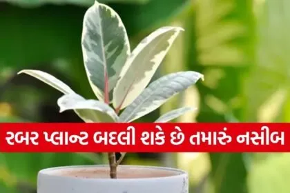 Auspicious Plants