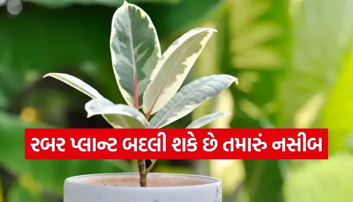 Auspicious Plants