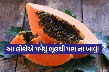 Papaya 2302 1