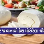 mozzarella cheese