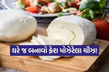 mozzarella cheese
