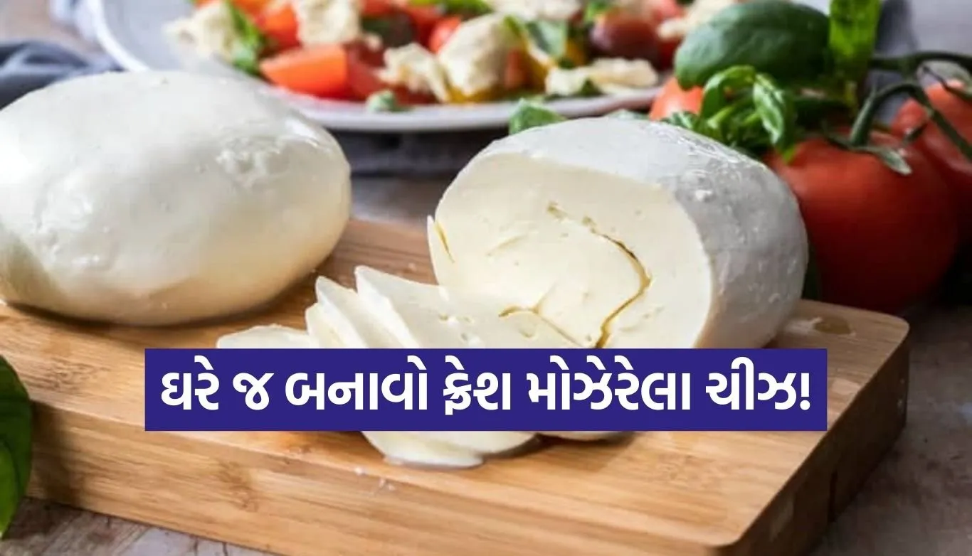 mozzarella cheese