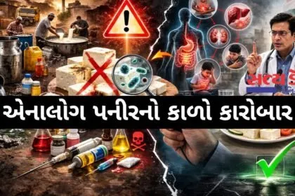 analogue-paneer-vs-real-paneer-side-effects-legal-action