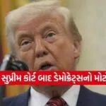 trump 2402