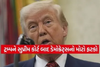 trump 2402