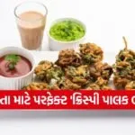 Bhajiya 2402