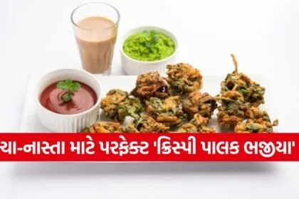 Bhajiya 2402