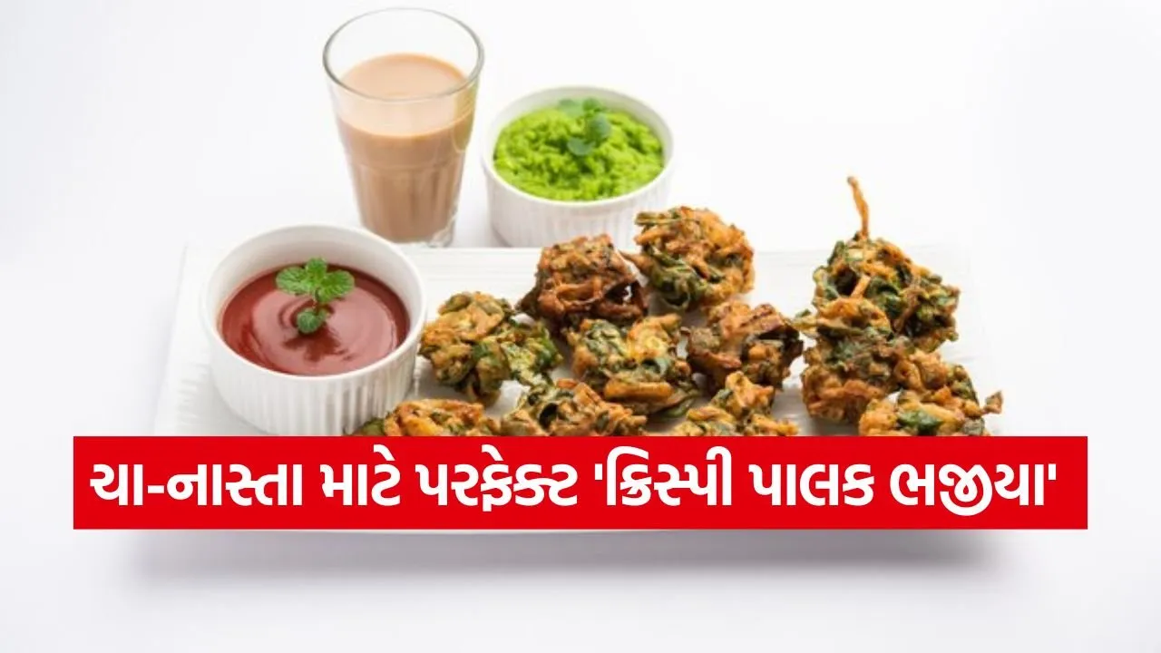 Bhajiya 2402.jpg