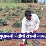 vadodara farmer rose cultivation success 1