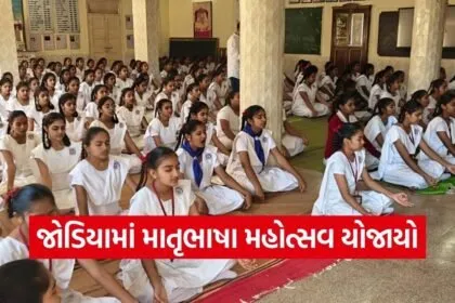 jamnagar mother tongue festival gujarati 1