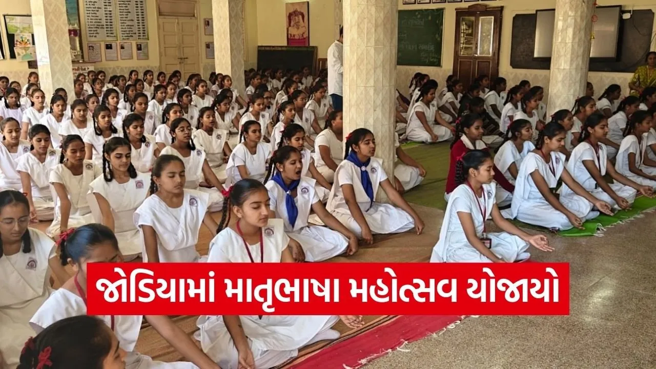 jamnagar mother tongue festival gujarati 1.jpg