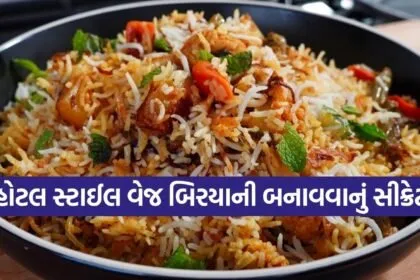 Veg Biryani