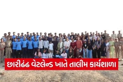 Gir Foundation Sustainable Lifestyle Workshop Kutch