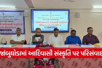 Tribal Culture And Folk Literature Conference Gujarat