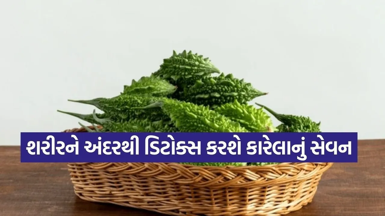 Bitter Gourd 2502.jpg